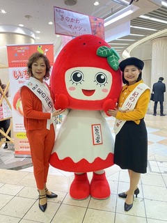 いちごっぷるちゃん