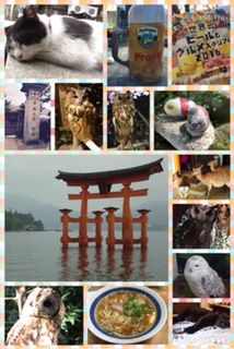 動物ふれあい旅