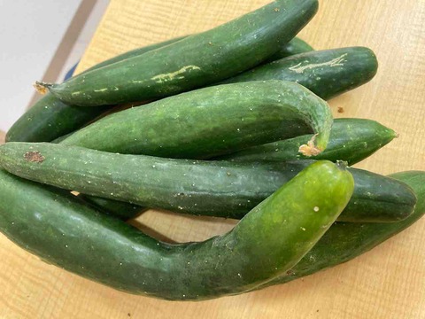 いただきもの🥒