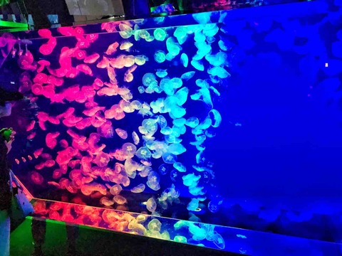 受付ミーティング