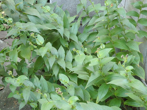 P9217129h