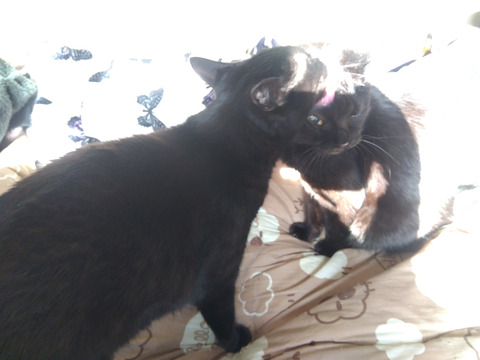 IMG_2026-04-12-07-27-15-050c