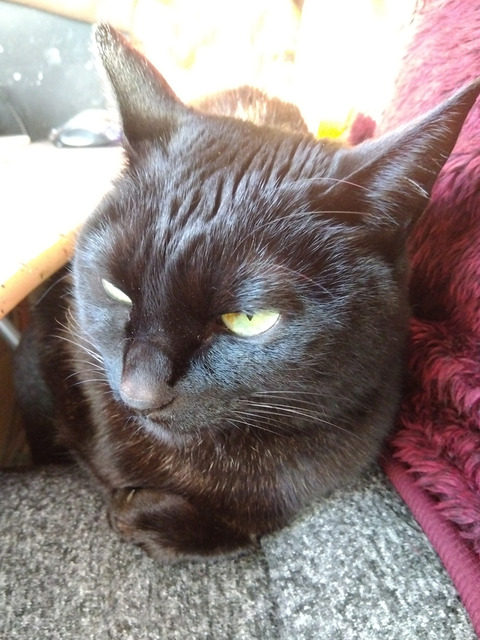 IMG_2025-12-29-08-02-35-603c