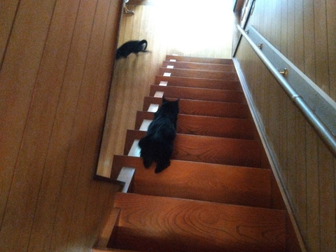 IMG_2026-04-10-07-26-30-267c