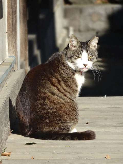 DSC06015j