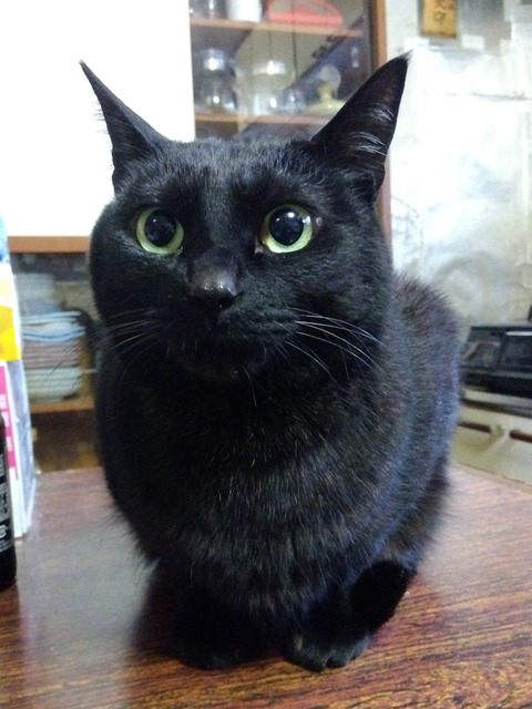 IMG_2026-04-10-07-41-21-993c