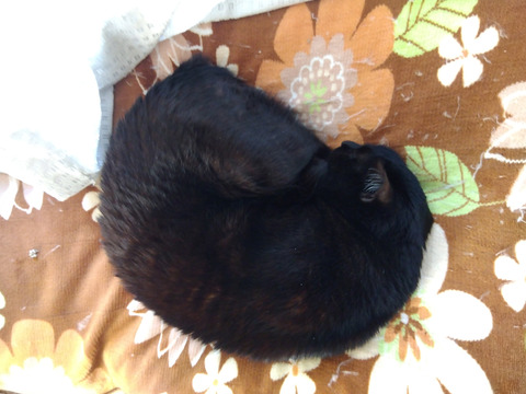 IMG_2026-04-12-06-59-23-450c