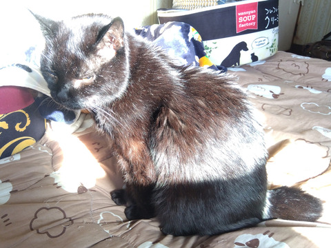 IMG_2026-04-11-07-23-33-578c