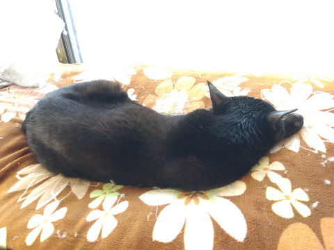 IMG_2026-04-11-07-17-35-236c