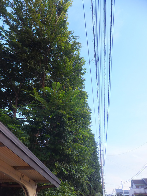 DSCF0143l