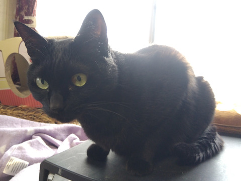 IMG_2026-04-10-16-13-26-633c