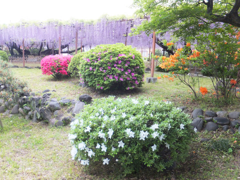 DSCF0074a