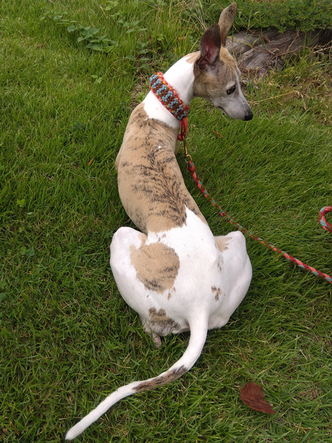 IMG_2025-10-06-10-01-01-020c