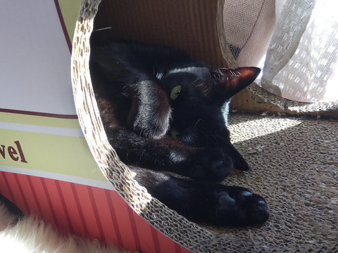 IMG_2024-02-28-14-49-11-846a