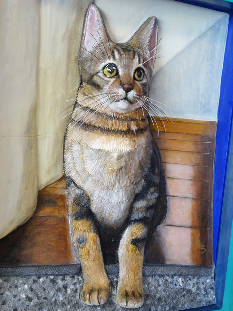 DSC00934j