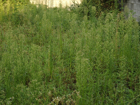 P8304530h