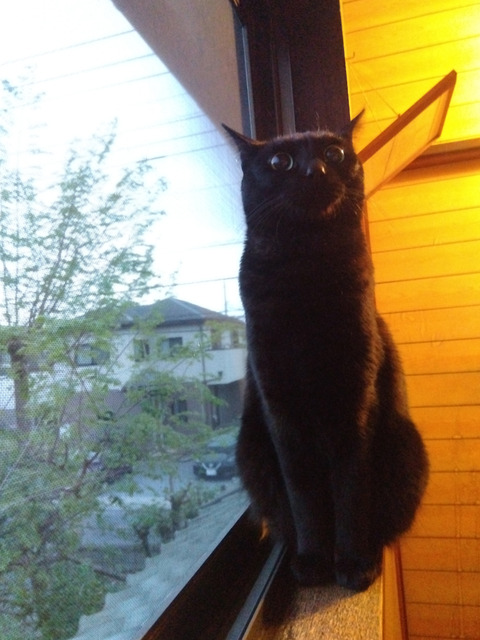 IMG_2026-04-15-05-19-26-939c