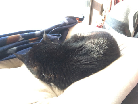 IMG_2025-12-31-08-16-48-523c