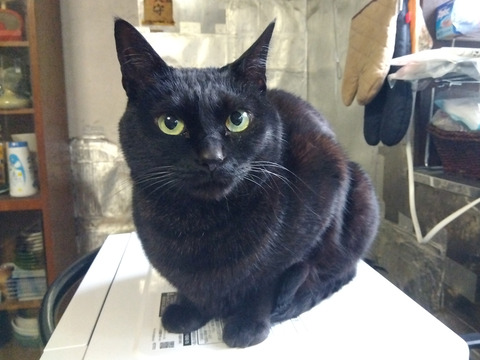 IMG_2026-04-14-07-18-39-473c