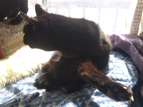 IMG_2024-02-27-11-23-13-943a