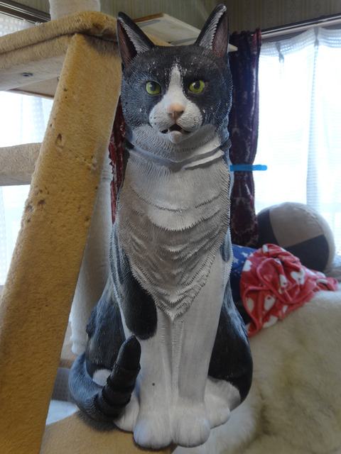 DSC09880k
