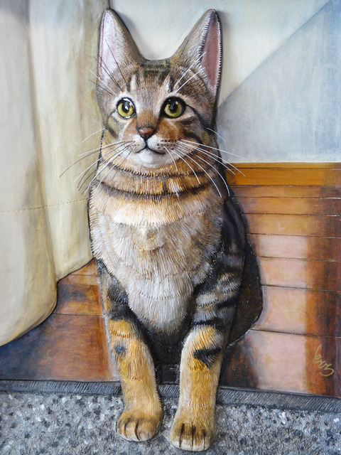 DSC00929j
