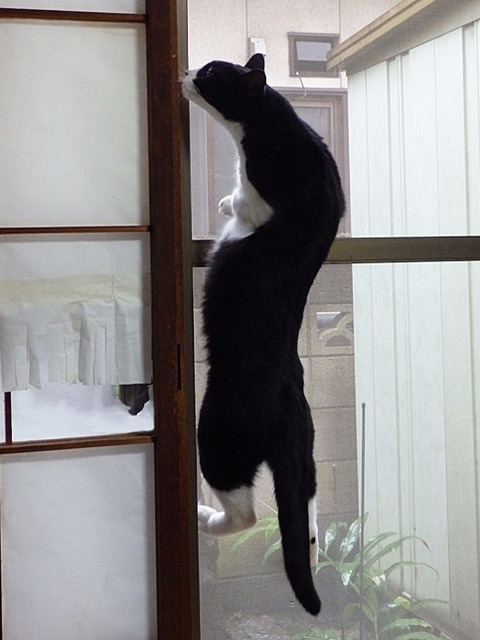 0 とひろ首が伸びる