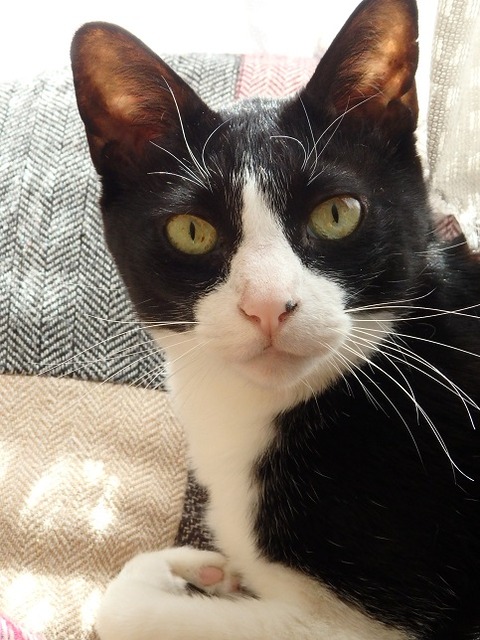 0 とひろあくび終わり