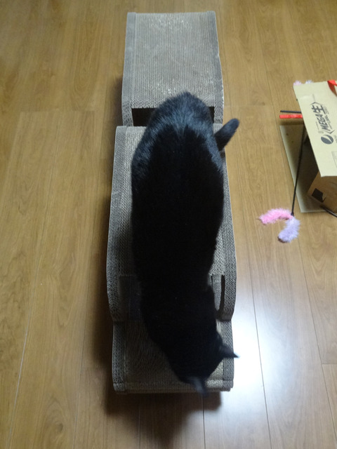 DSC00976k