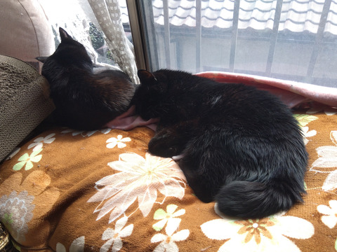 IMG_2026-02-27-12-58-49-590c