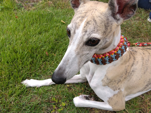 IMG_2025-10-06-10-05-27-264c