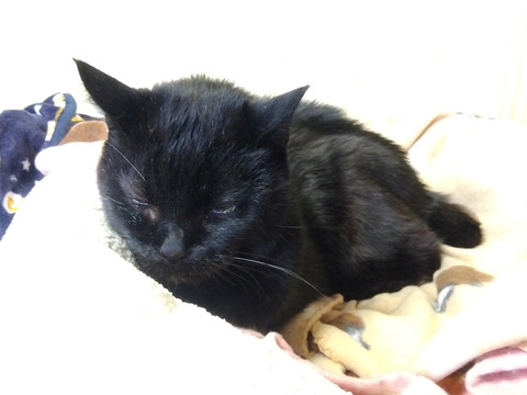 IMG_2026-04-14-07-10-31-996c