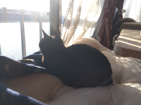 IMG_2025-12-31-08-17-05-780c