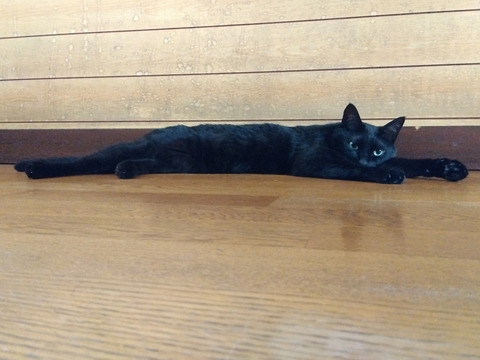 IMG_2025-07-30-05-54-17-182c