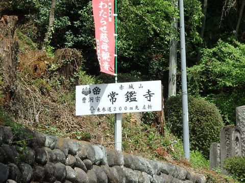 P5077074i