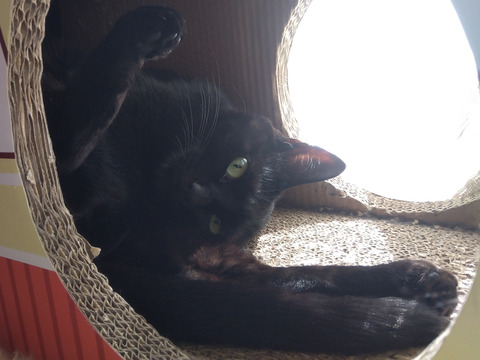 IMG_2024-02-27-11-31-35-759a