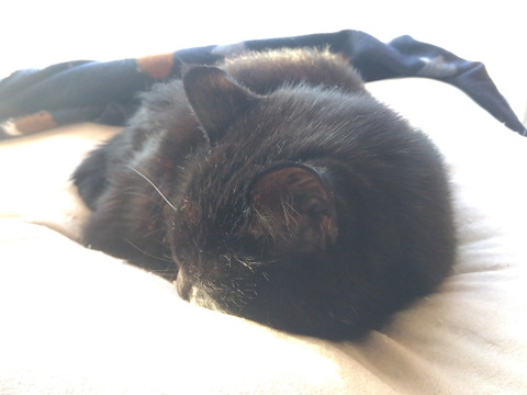 IMG_2025-12-30-07-44-51-422c