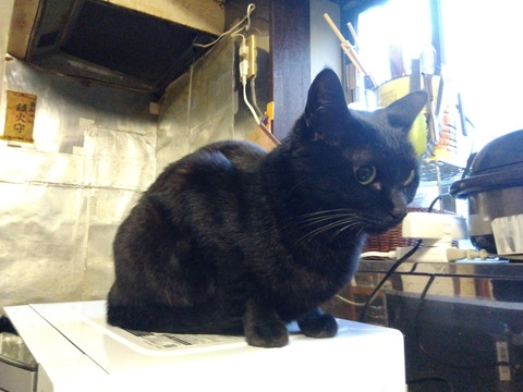 IMG_2026-04-16-05-31-47-010c