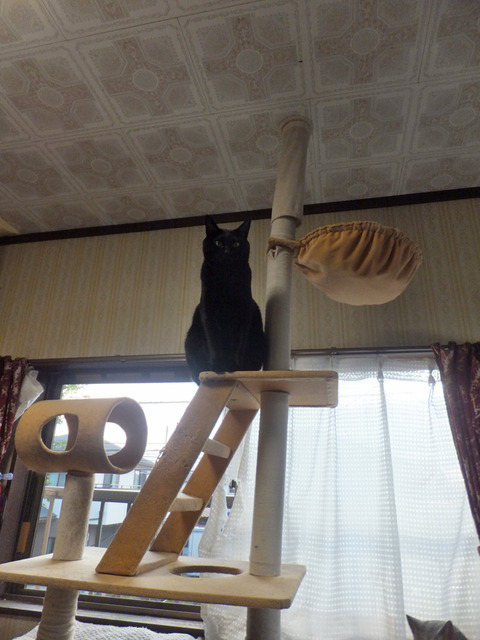 DSCF1477a