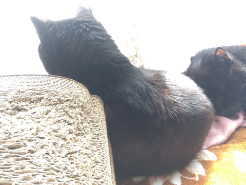 IMG_2026-02-27-12-59-16-162c