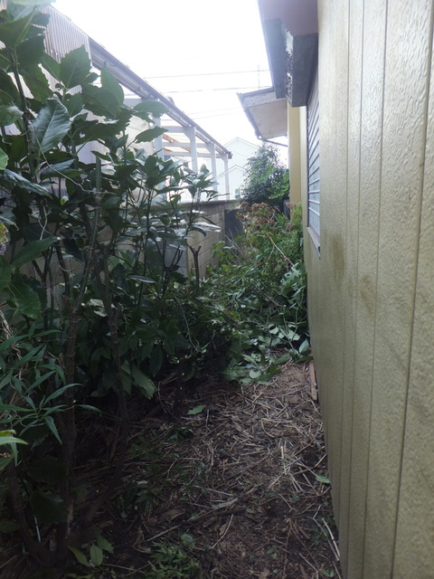 DSCF1073a