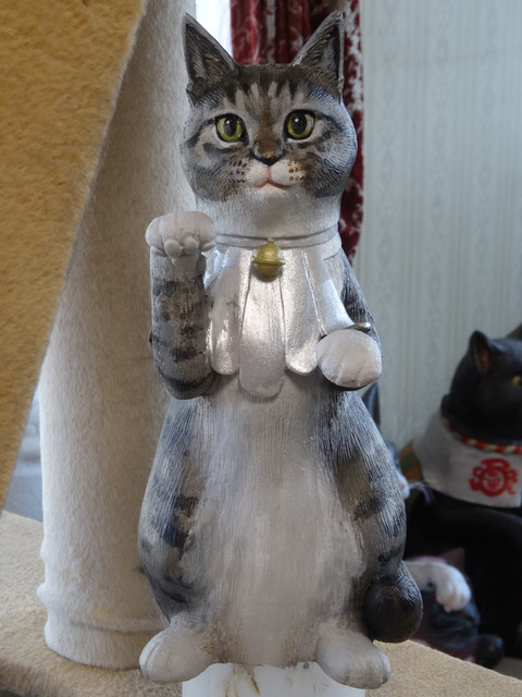 DSC06301i