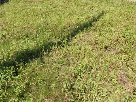 P8304572h