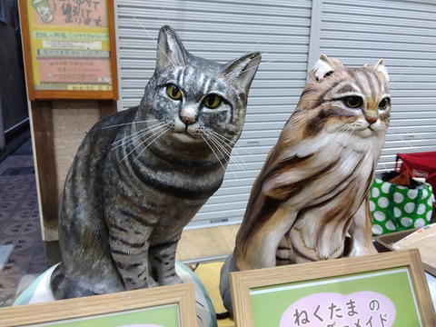 IMG_2025-10-31-16-08-29-184c