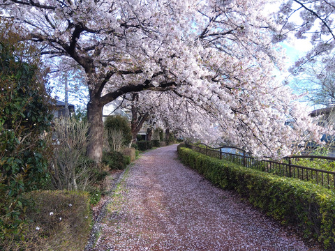 IMG_2026-04-05-06-44-19-366c