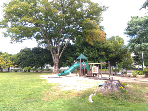 IMG_2025-10-06-09-58-57-357c