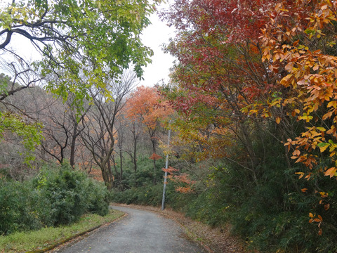DSC03446j