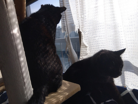 IMG_2026-04-13-07-30-13-103c