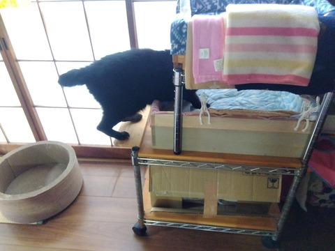 IMG_2025-07-30-06-19-35-166c