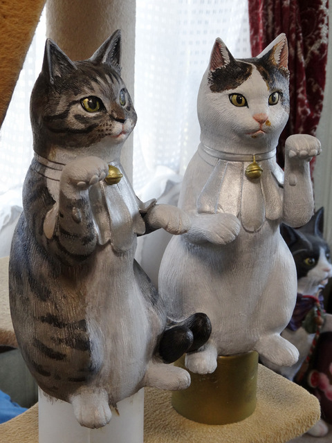 DSC06303i